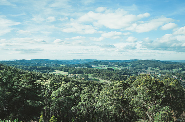 vintage-retro-elegant-bridal-gown-wedding-dress5