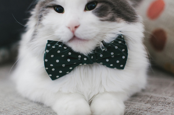 backyard-wedding-inspiration-flower-crown2