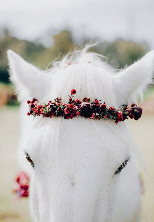black-wedding-dress-red-flowers-white-horse-floral-crown3