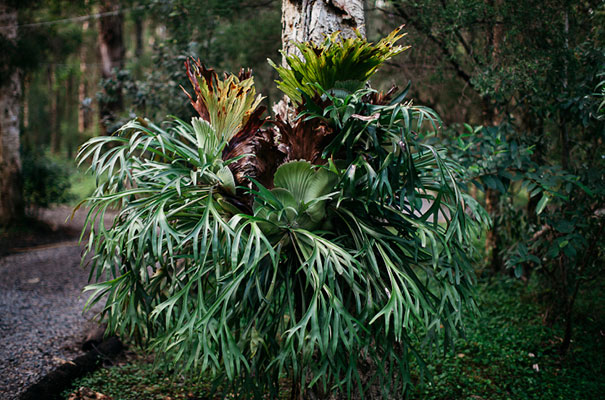 bush-wedding-paperbark-camp-bridesmaids-inspiration-dresses