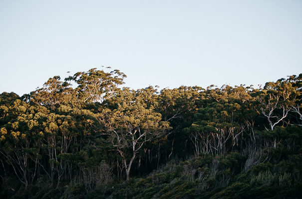 bush-wedding-paperbark-camp-bridesmaids-inspiration-dresses18