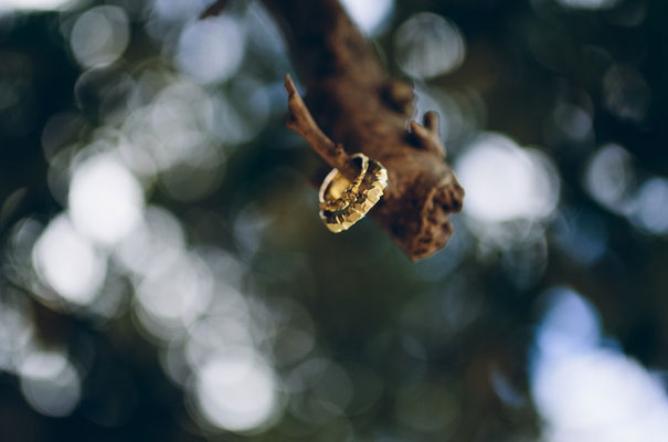 cool-low-key-casual-wedding-inspiration6