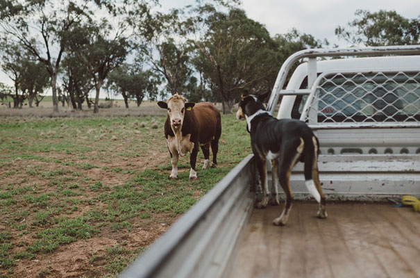 country-barn-wedding-ideas-inspiration