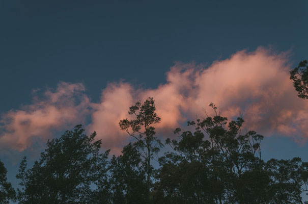 kangaroo-valley-bush-australian-wedding-scott-surplice32