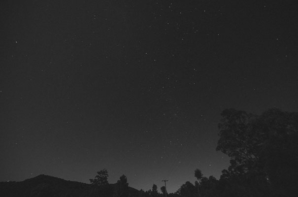 kangaroo-valley-bush-australian-wedding-scott-surplice43