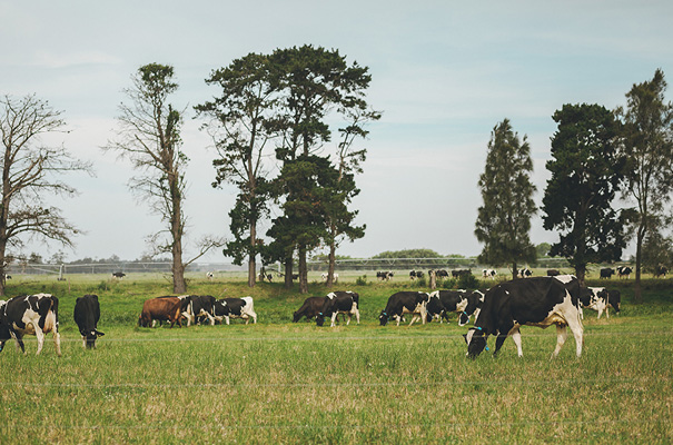 lover-the-label-country-diy-wedding-inspiration11