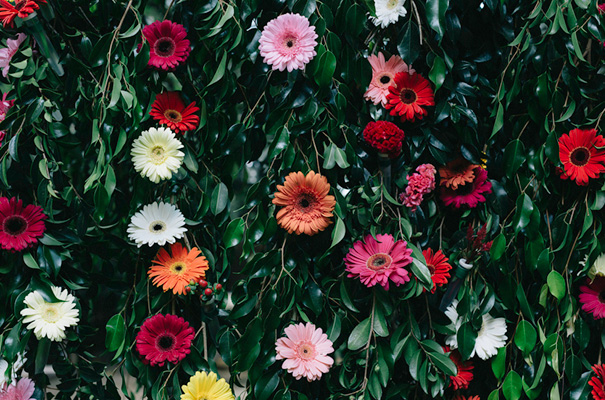 veggie-green-eco-backyard-wedding-inspiration10