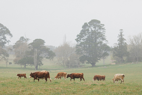 Caitlyn-Tim-Hello-May_0001