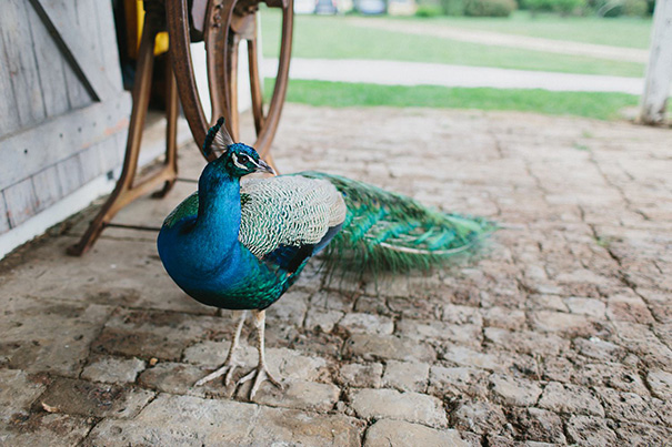 Caitlyn-Tim-Hello-May_0008