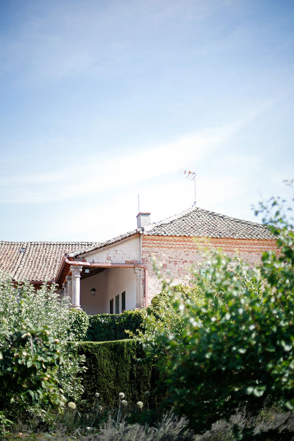 LEAFHOPPER_FlorenciaEduardo_07