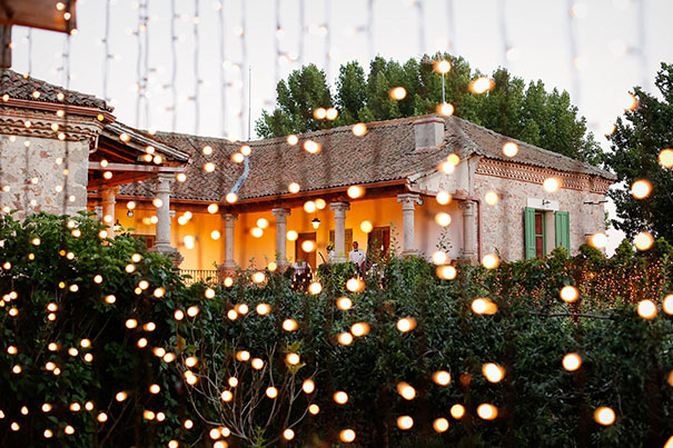 LEAFHOPPER_FlorenciaEduardo_191