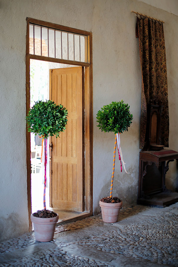 LEAFHOPPER_FlorenciaEduardo_23