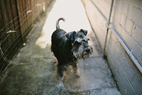 Louise&Nick_Wedding_FullRes_Final-104