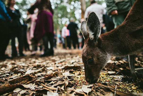 StillLove-Emily-Jean-105