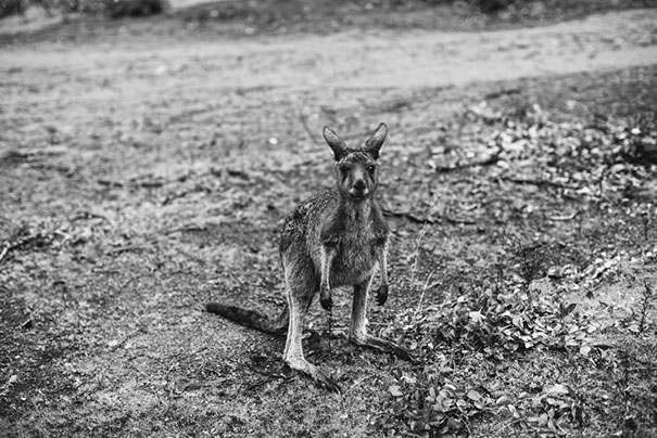 StillLove-Emily-Jean-140