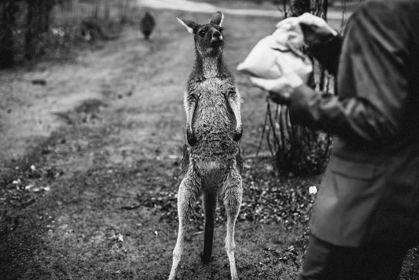 StillLove-Emily-Jean-145