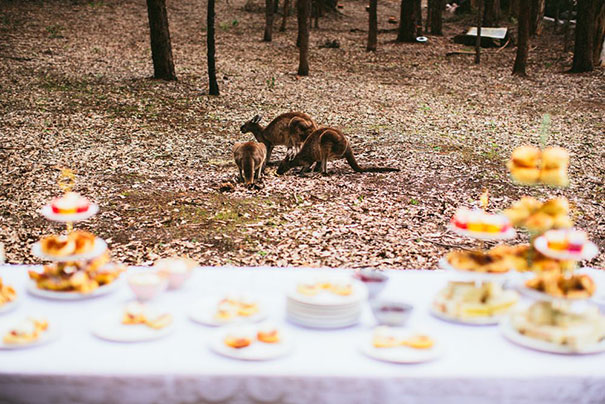 StillLove-Emily-Jean-99