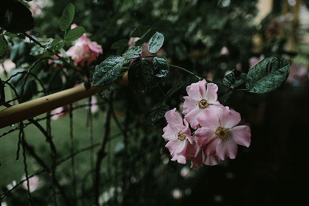 2015_10_31_Lisa_Will-0008