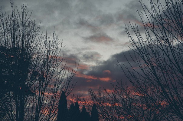 Ann-and-Frankie_Colour-231