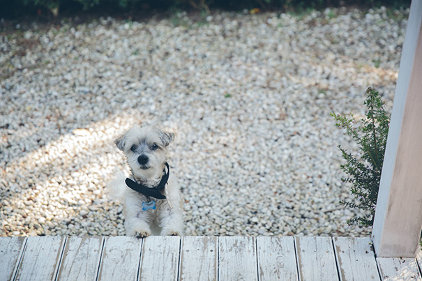 Ann-and-Frankie_Colour-8