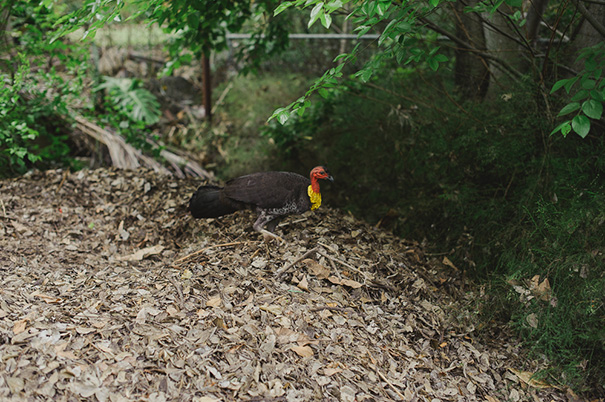 DebBoots-Alana-Ian-0105