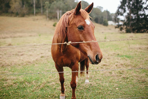 Calista&Brendan_Wedding_HelloMaySubmission_ShaneShepherd-36