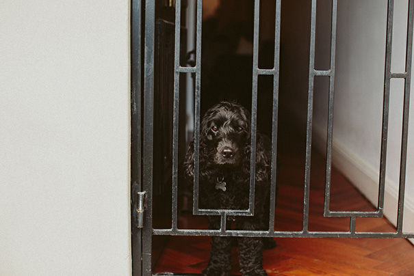 jessnicholls_sydneywedding_phoebe&ryan044