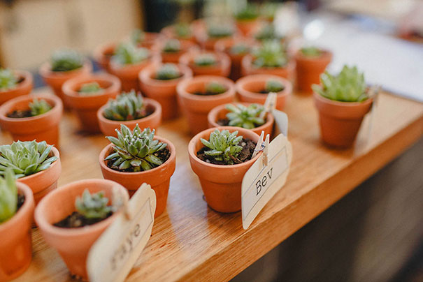 ninaclaire_Erin_Jarrad-150