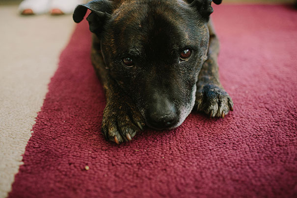 2015_12_05_Alice_Kenny-0082