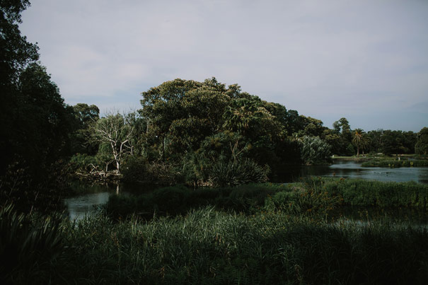 2015_12_05_Alice_Kenny-0440