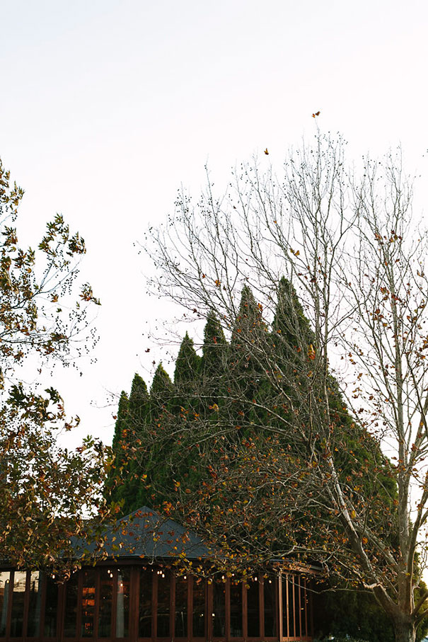 Ashleigh&Brendan-477