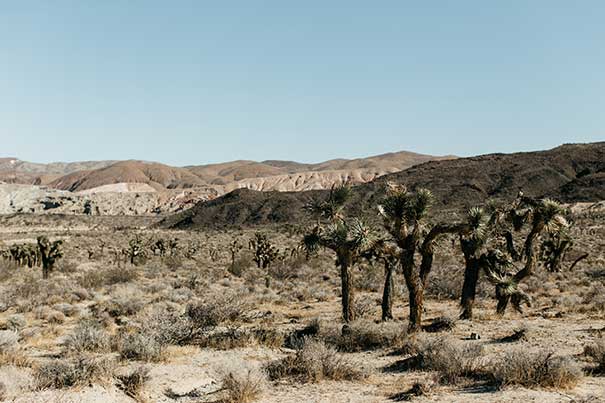 Tara_Lauren_JeanLaurentGaudy_096