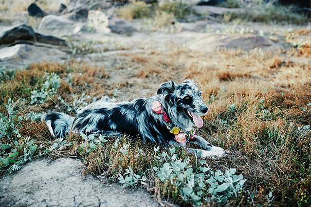 MaryParker-weddingstyledshoot-27