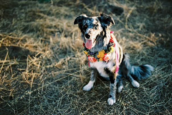 MaryParker-weddingstyledshoot-66