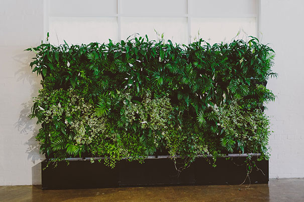 Nicky-&-Sam-Teasers-189