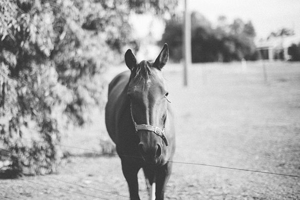 ThisDayForward_Sarah&Duncan-93