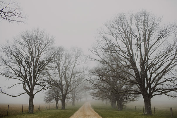 150627_justinaaron_wedding_ali_ben_HM-001