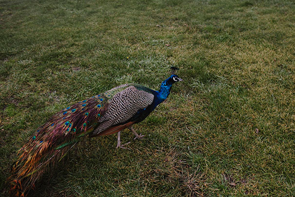 150627_justinaaron_wedding_ali_ben_HM-012