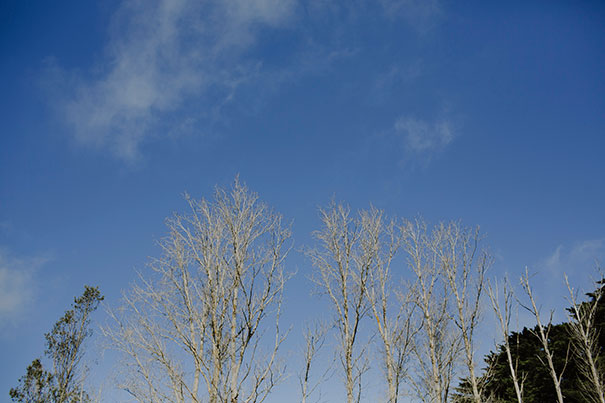 150627_justinaaron_wedding_ali_ben_HM-041