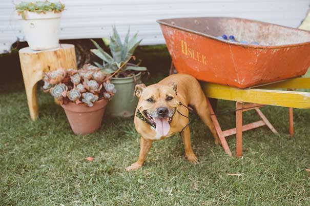 Motta-Weddings---Alice-+-Jules-61