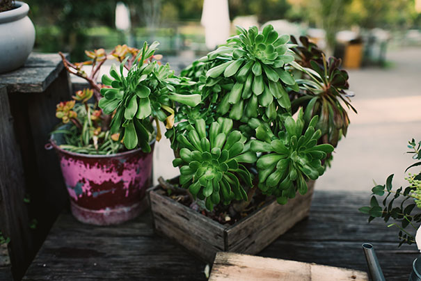 Sharon-+-Darren-for-Hello-May---She-Takes-Pictures-He-Makes-Films-495