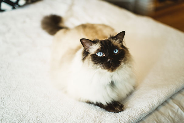 Sharon-+-Darren-for-Hello-May---She-Takes-Pictures-He-Makes-Films-62