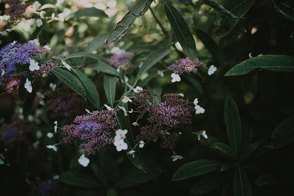 2016_02_28_Christina_Alex-0349