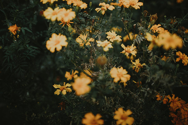 2016_02_28_Christina_Alex-0669