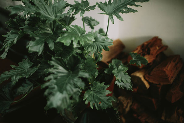 2016_03_13_Kas_Luke-0872