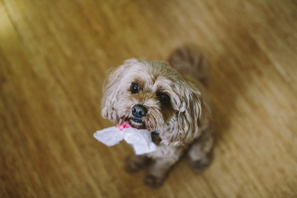 LaraHotzPhotography_Wedding_Sydney_Photographer_3744