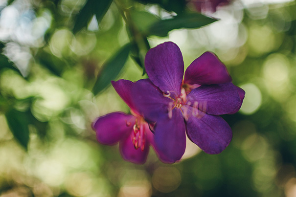 RLW_QLD_Stories-by-Ash_Ariel-Will-27