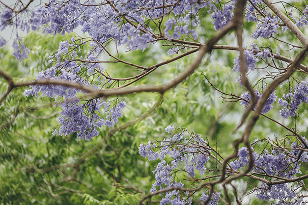 RLW_QLD_Stories-by-Ash_Ariel-Will-47