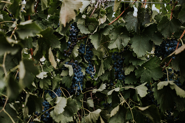 SophieTPhotography_CourtAsh-114