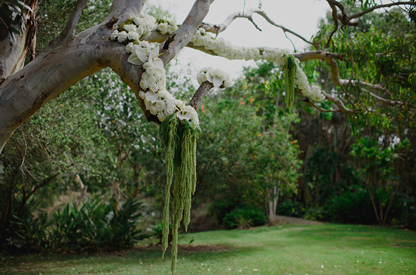 barney-kate-david-moore-photography-wedding7